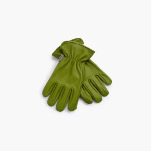 Garden Glove - Olive