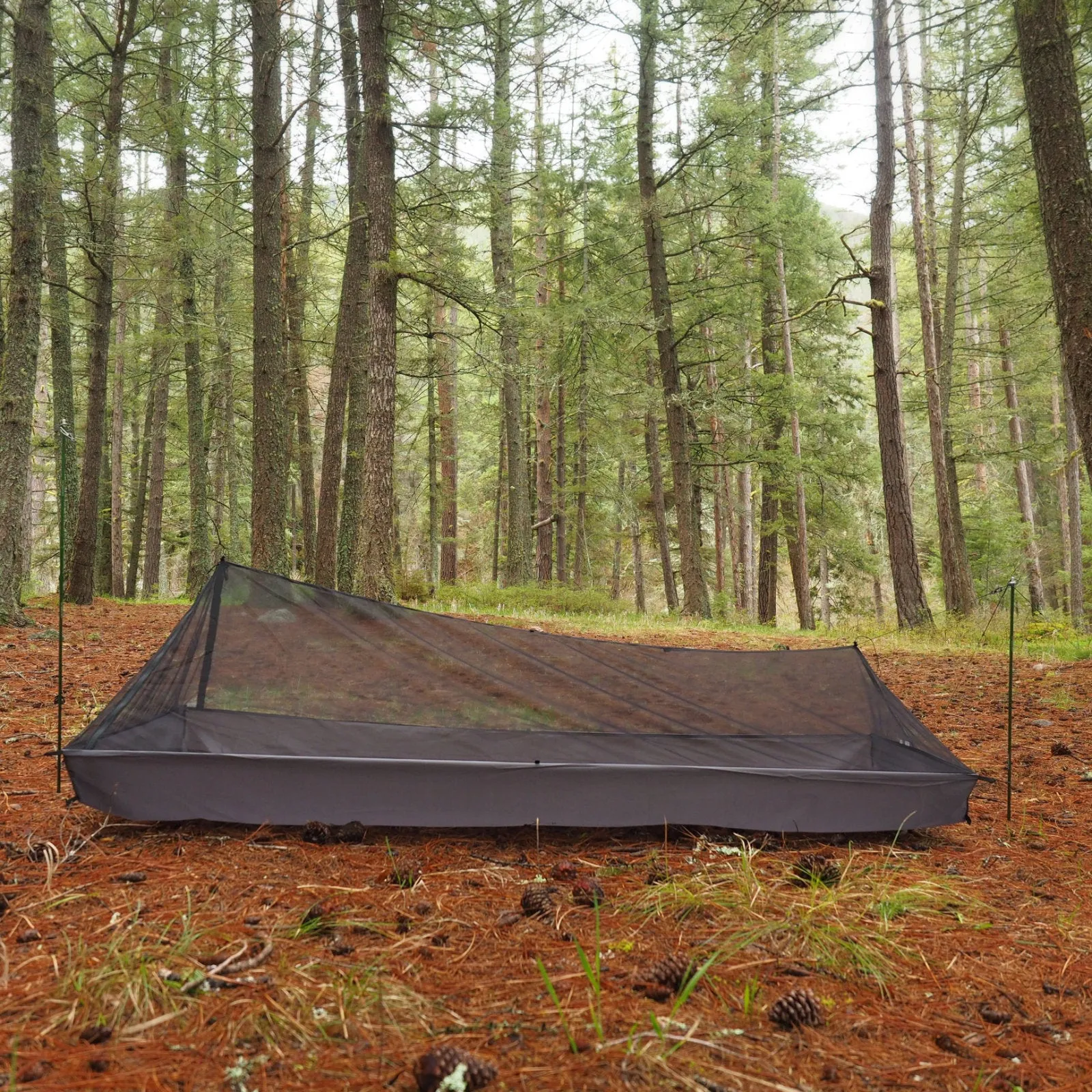 Y-zip Bug Bivy