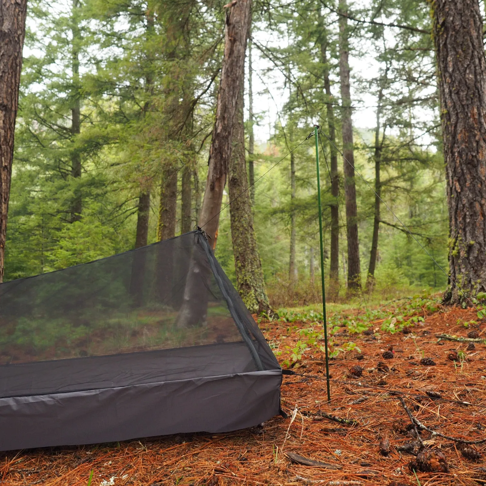 Y-zip Bug Bivy